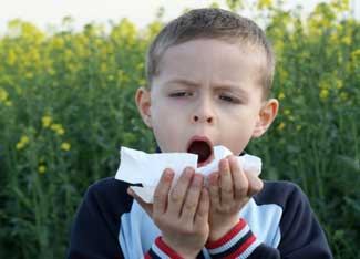 Easy Natural Remedies for Summer